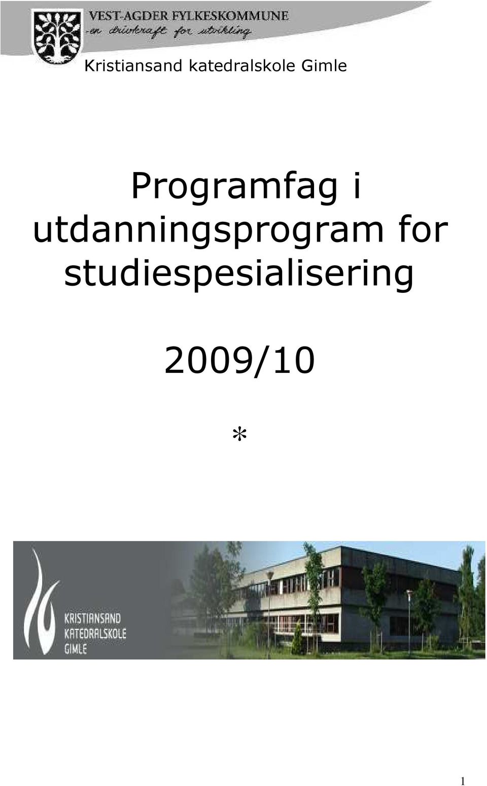 Programfag i