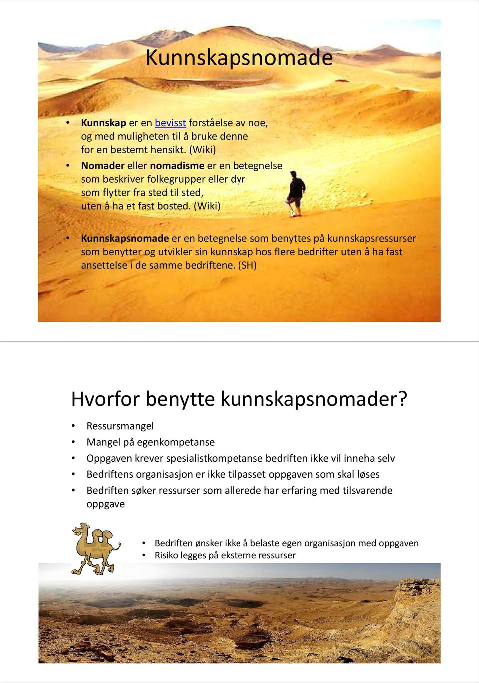 (Wiki) Kunnskapsnomade er en betegnelse som benyttes på kunnskapsressurser som benytter og utvikler sin kunnskap hos flere bedrifter uten å ha fast ansettelse i de samme bedriftene.