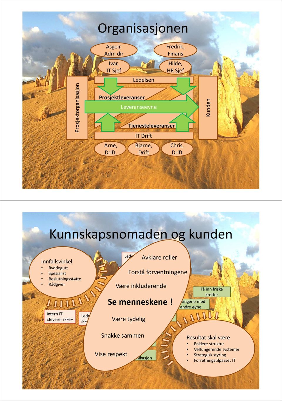 Intern IT har ikke kompetanse Ledelsen trenger eksternt alibi Intern IT har ikke kapasitet Snakke sammen Vise respekt Skaff ekstra kapasitet Deleger styring Styrke kommunikasjon Avklare roller Forstå