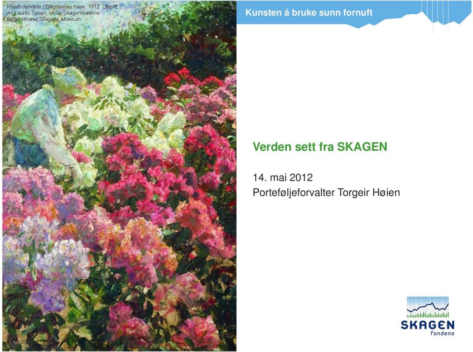 SKAGEN 14.