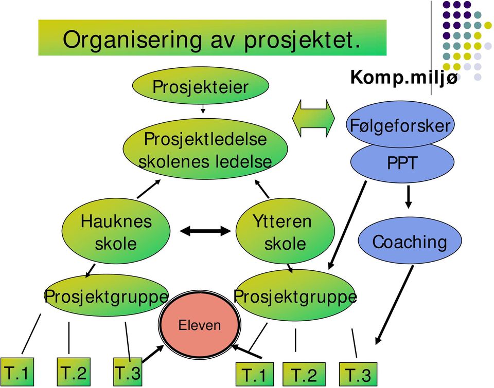 Komp.miljø Følgeforsker PPT Hauknes skole Ytteren