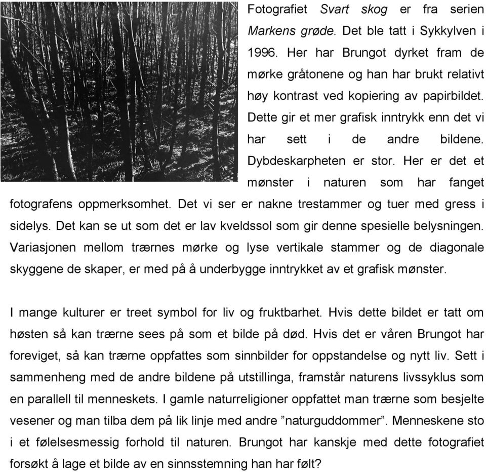 Det vi ser er nakne trestammer og tuer med gress i sidelys. Det kan se ut som det er lav kveldssol som gir denne spesielle belysningen.