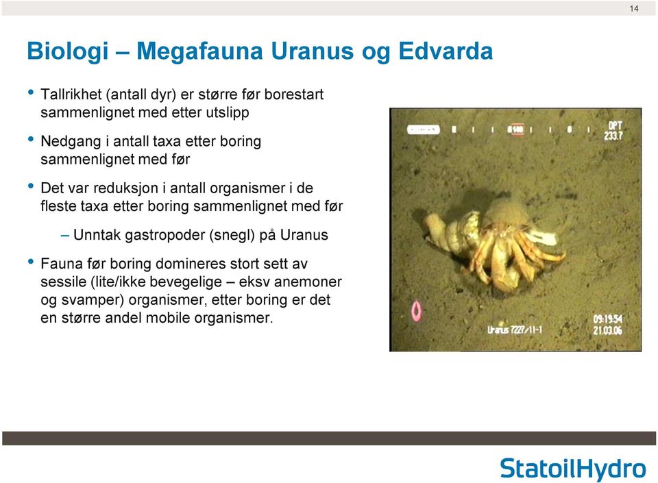 taxa etter boring sammenlignet med før Unntak gastropoder (snegl) på Uranus Fauna før boring domineres stort sett