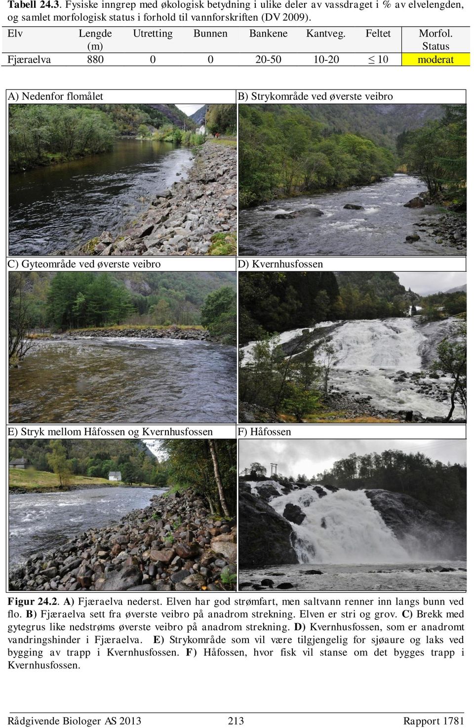 (m) Status Fjæraelva 880 0 0 20-50 10-20 10 moderat A) Nedenfor flomålet B) Strykområde ved øverste veibro C) Gyteområde ved øverste veibro D) Kvernhusfossen E) Stryk mellom Håfossen og