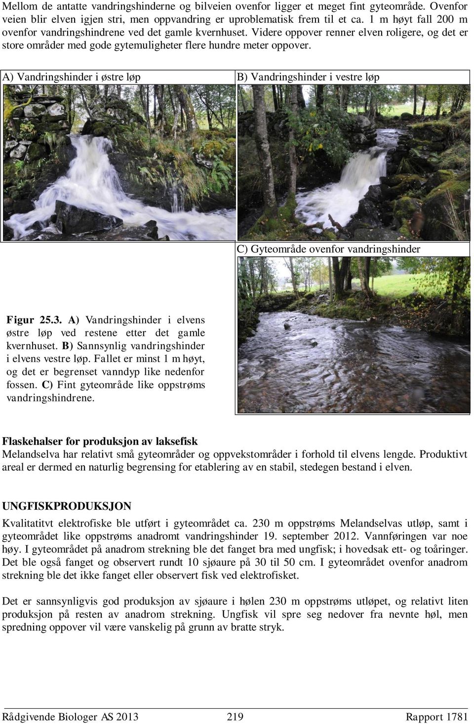 A) Vandringshinder i østre løp B) Vandringshinder i vestre løp C) Gyteområde ovenfor vandringshinder Figur 25.3. A) Vandringshinder i elvens østre løp ved restene etter det gamle kvernhuset.