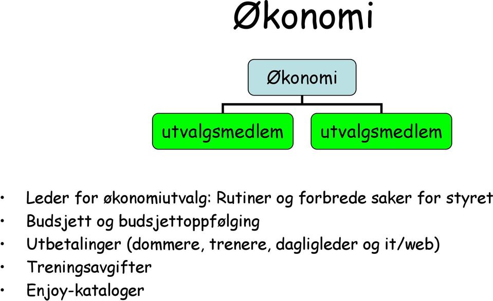 Budsjett og budsjettoppfølging Utbetalinger (dommere,