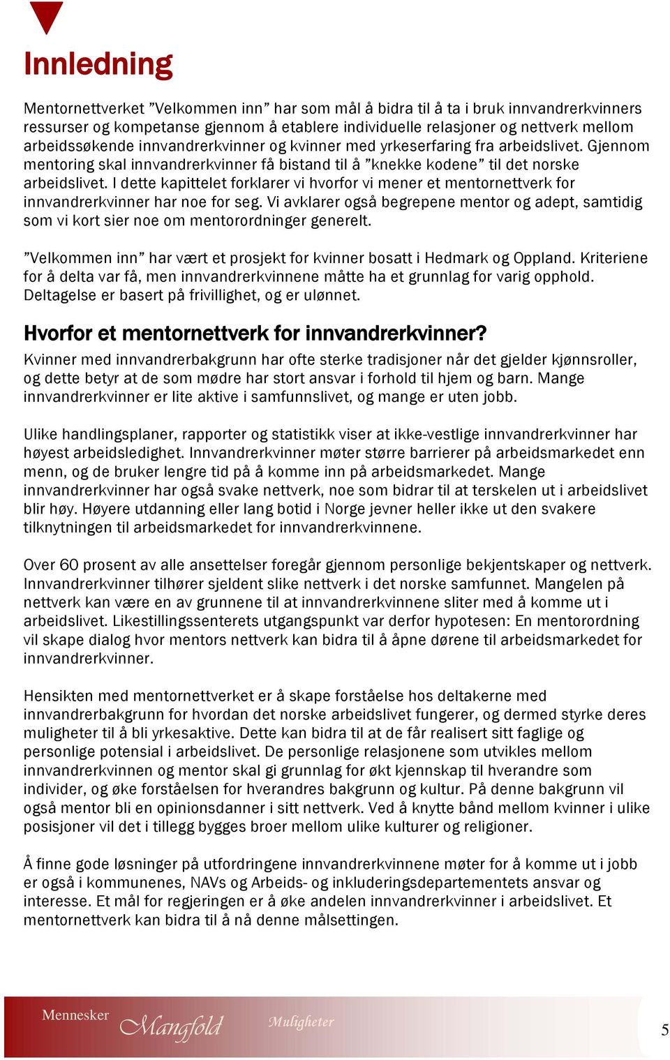 I dette kapittelet forklarer vi hvorfor vi mener et mentornettverk for innvandrerkvinner har noe for seg.