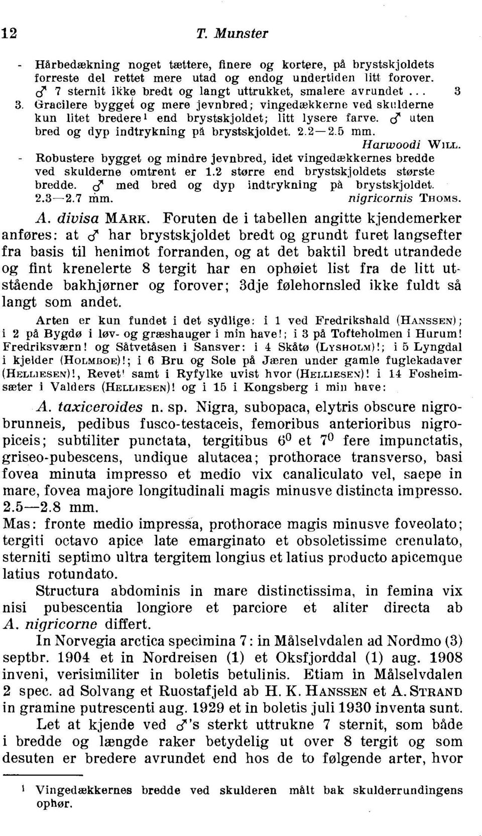 CJ" uten bred og dyp indtrykning pb brystskjoldet. 2 2-2 5 mm. Harwoodi WILL. - Robustere bygget og mindre jevnbred, idet vingediekkernes bredde ved skulderne omtrent er 1.