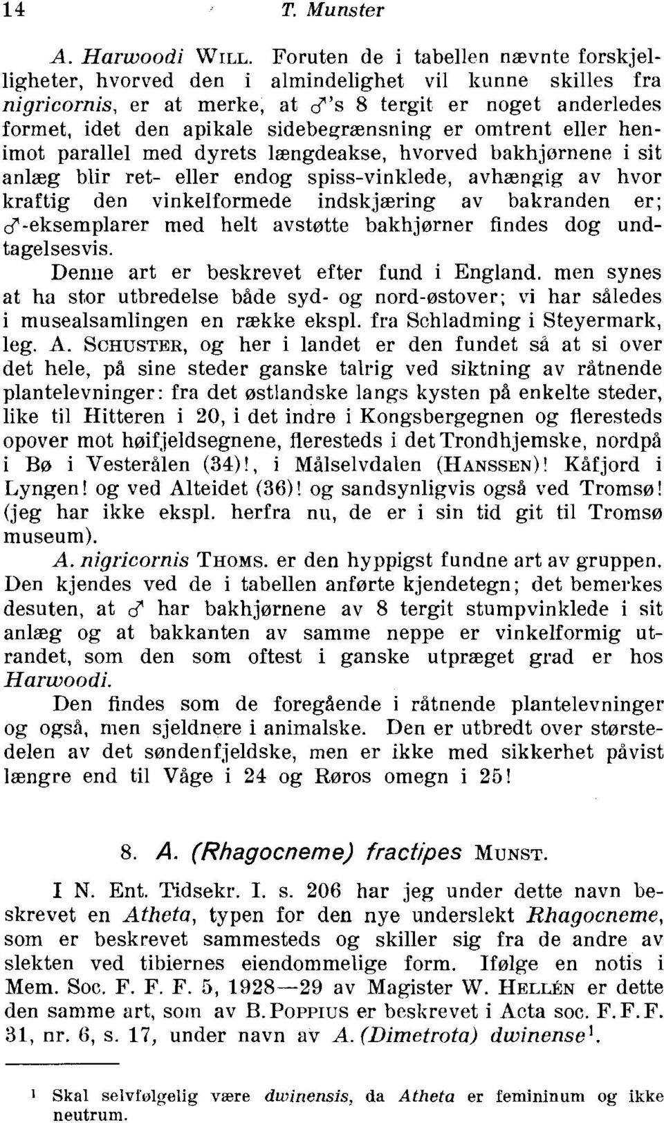 sidebeqrznsning er omtrent eller henimot parallel med dyrets laengdeakse, hvorved bakhjornene i sit anlzg blir ret- eller endog spiss-vinklede, avhzngig av hvor kraftig den vinkelformede indskjaering