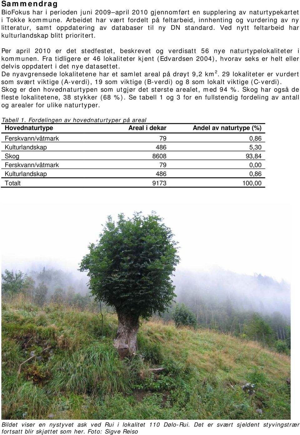 Per april 2010 er det stedfestet, beskrevet og verdisatt 56 nye naturtypelokaliteter i kommunen.