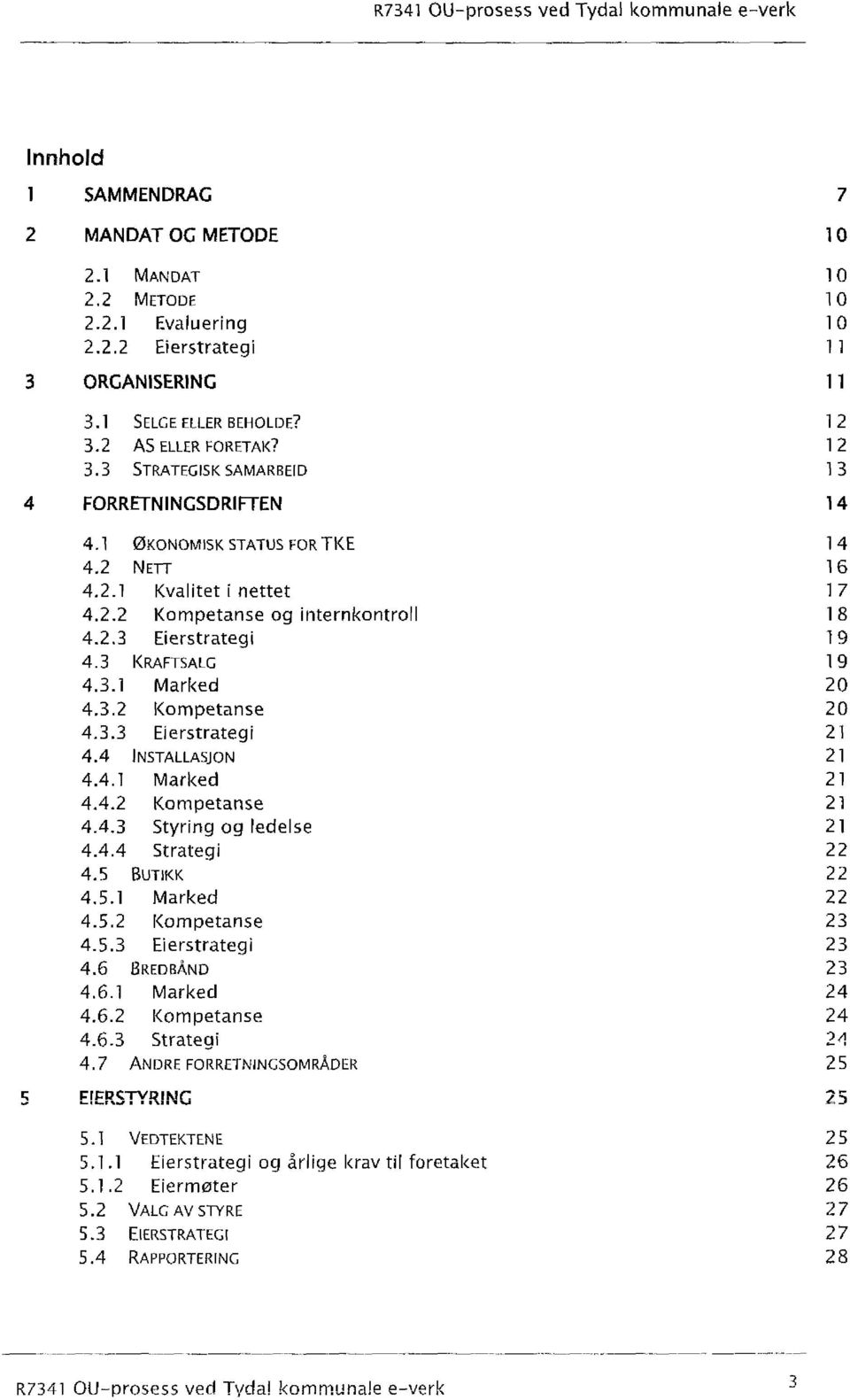 3 KRAFTSALG 19 4.3.1 Marked 20 4.3.2 Kompetanse 20 4.3.3 Eierstrategi 21 4.4 INSTALLASJON 21 4.4.1 Marked 21 4.4.2 Kompetanse 21 4.4.3 Styring og redelse 21 4.4.4 Strategi 22 4.5 BUT1KK 22 4.5.1 Marked 22 4.