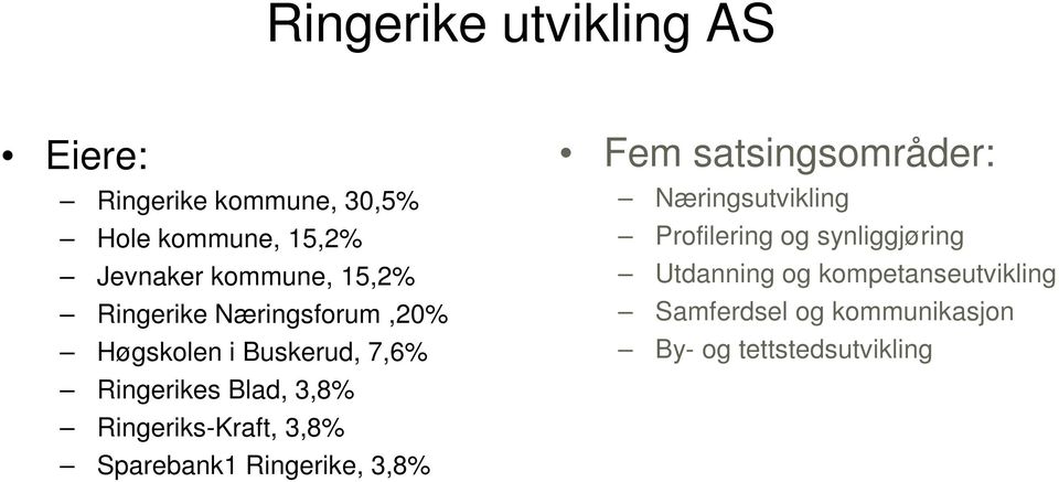 Ringeriks-Kraft, 3,8% Sparebank1 Ringerike, 3,8% Fem satsingsområder: Næringsutvikling