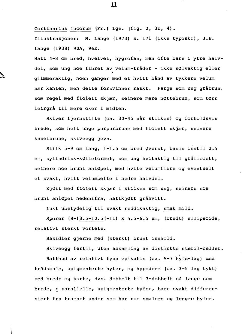 kanten, men dette forsvinner raskt. Farge sorn ung grabrun, sorn regel rned fiolett skj~r, seinere mere n ttebrun, sorn t rr leirgra til mere oker i rnidten. Skiver fjernstilte (ca.