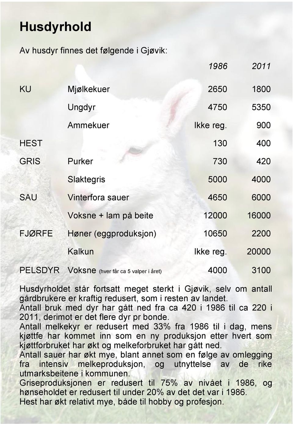 20000 PELSDYR Voksne (hver får ca 5 valper i året) 4000 3100 Husdyrholdet står fortsatt meget sterkt i Gjøvik, selv om antall gårdbrukere er kraftig redusert, som i resten av landet.