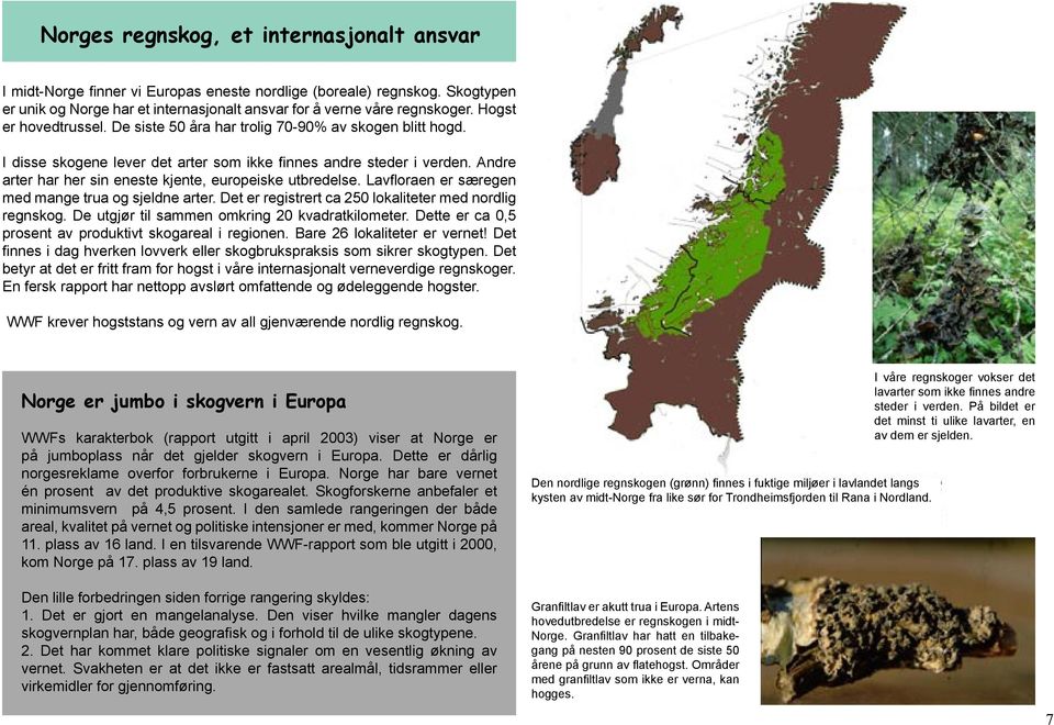 Andre arter har her sin eneste kjente, europeiske utbredelse. Lavfloraen er særegen med mange trua og sjeldne arter. Det er registrert ca 250 lokaliteter med nordlig regnskog.