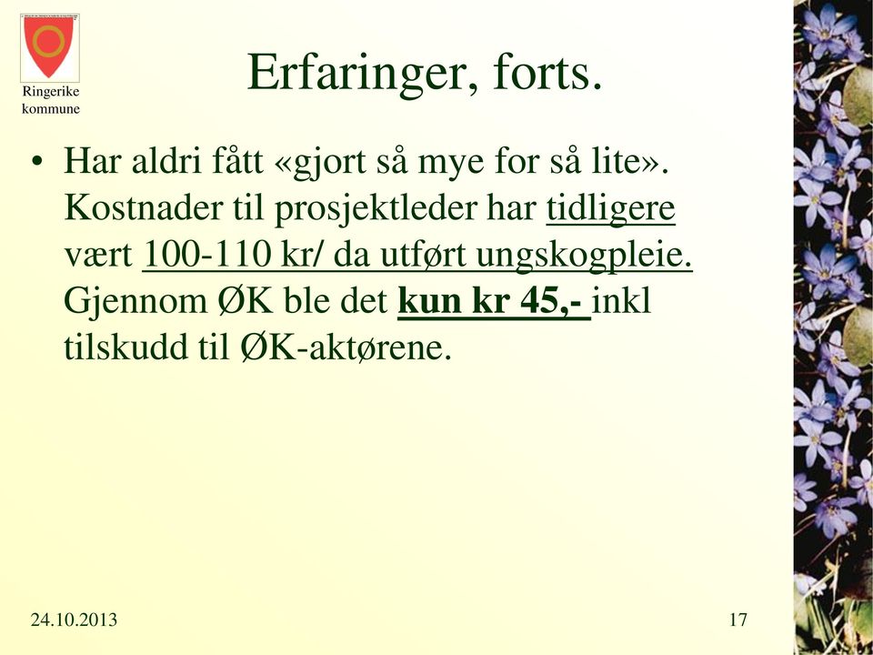 Kostnader til prosjektleder har tidligere vært 100-110