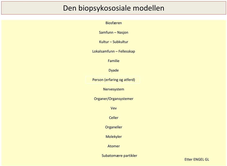 (erfaring og atferd) Nervesystem Organer/Organsystemer Vev