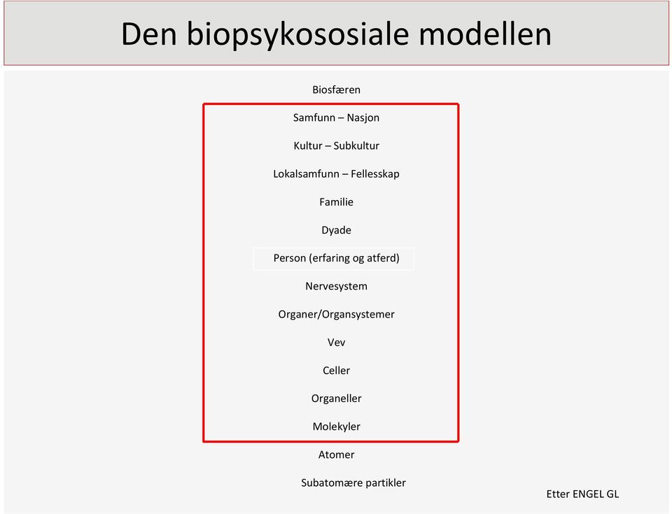 (erfaring og atferd) Nervesystem Organer/Organsystemer Vev