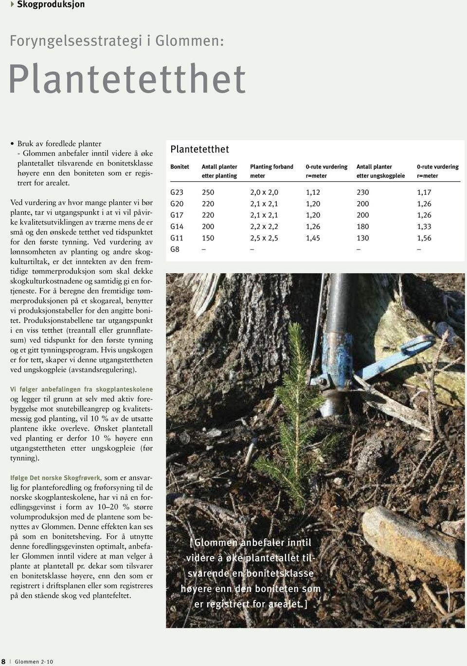 Ved vurdering av hvor mange planter vi bør plante, tar vi utgangspunkt i at vi vil påvirke kvalitetsutviklingen av trærne mens de er små og den ønskede tetthet ved tidspunktet for den første tynning.