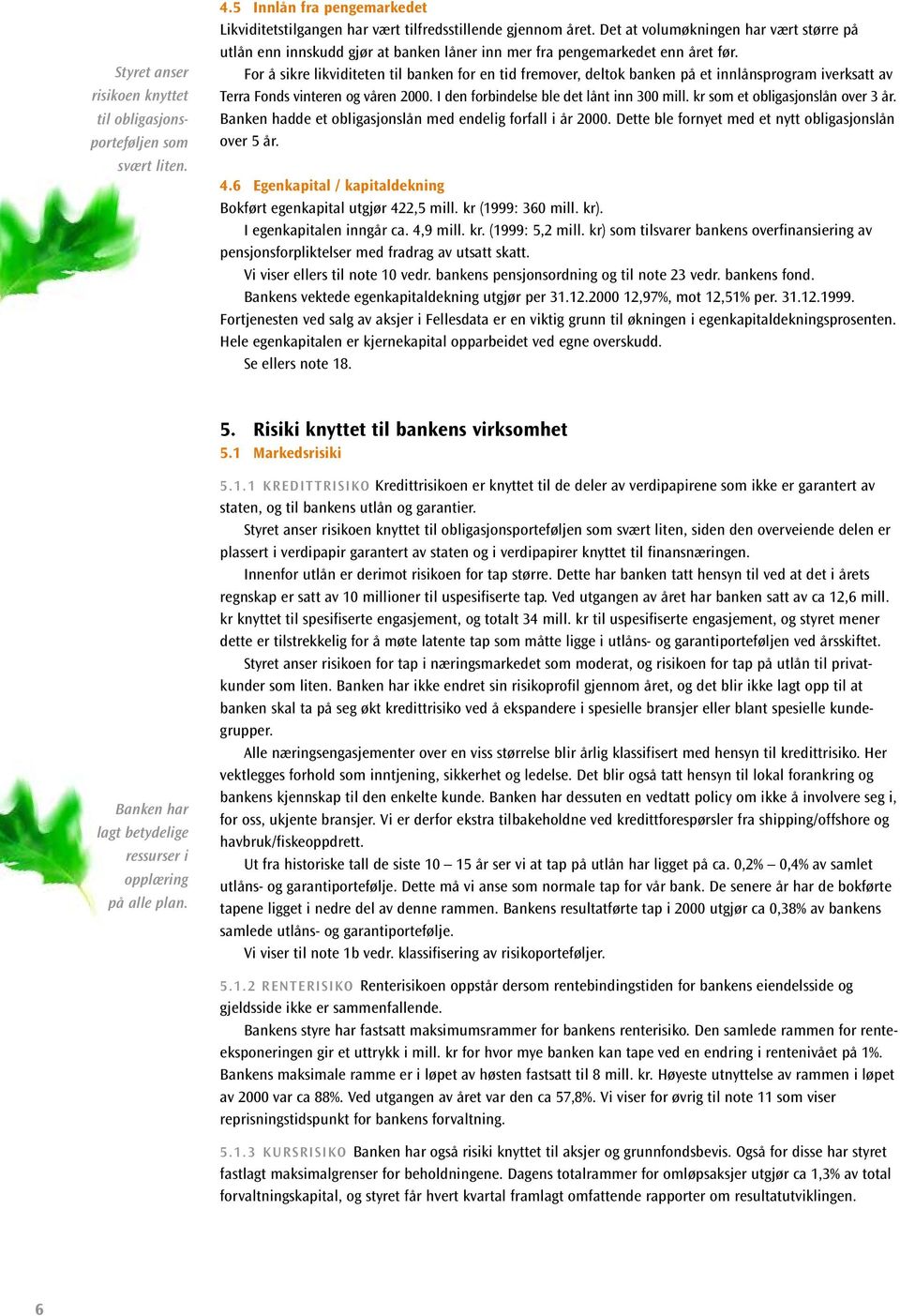 For å sikre likviditeten til banken for en tid fremover, deltok banken på et innlånsprogram iverksatt av Terra Fonds vinteren og våren 2000. I den forbindelse ble det lånt inn 300 mill.