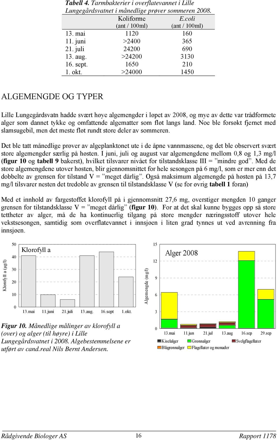 >24 145 ALGEMENGDE OG TYPER Lille Lungegårdsvatn hadde svært høye algemengder i løpet av 28, og mye av dette var trådformete alger som dannet tykke og omfattende algematter som fløt langs land.