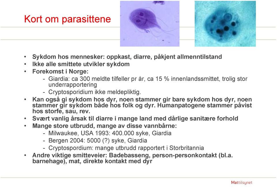 Humanpatogene stammer påvist hos storfe, sau, rev. Svært vanlig årsak til diarre i mange land med dårlige sanitære forhold Mange store utbrudd, mange av disse vannbårne: - Milwaukee, USA 1993: 400.