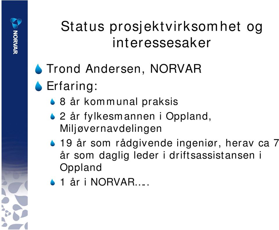 Oppland, Miljøvernavdelingen 19 år som rådgivende ingeniør,