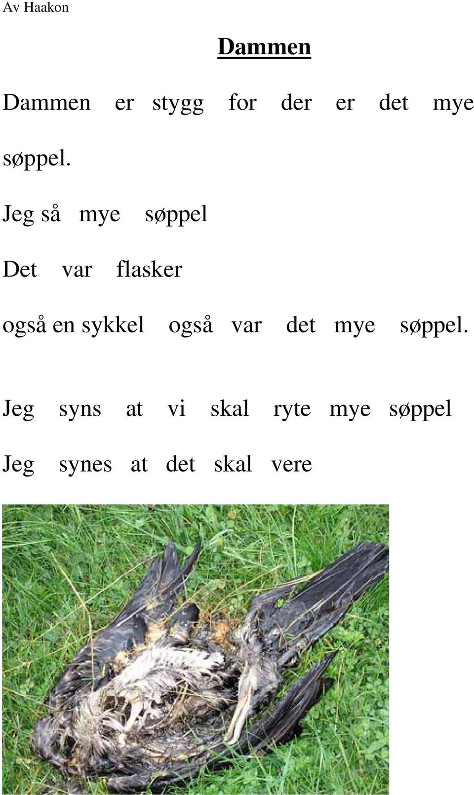 Jeg så mye søppel Det var flasker også en sykkel