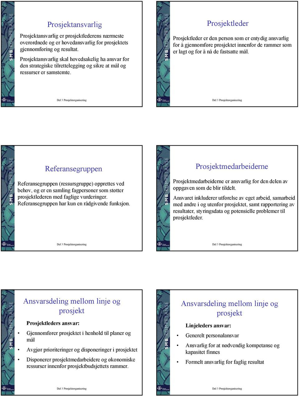 leder leder er den person som er entydig ansvarlig for å gjennomføre prosjektet innenfor de rammer som er lagt og for å nå de fastsatte mål.