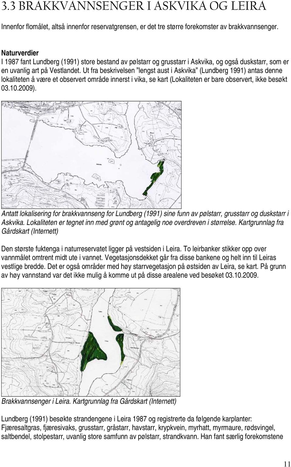 Ut fra beskrivelsen lengst aust i Askvika (Lundberg 1991) antas denne lokaliteten å være et observert område innerst i vika, se kart (Lokaliteten er bare observert, ikke besøkt 03.10.2009).