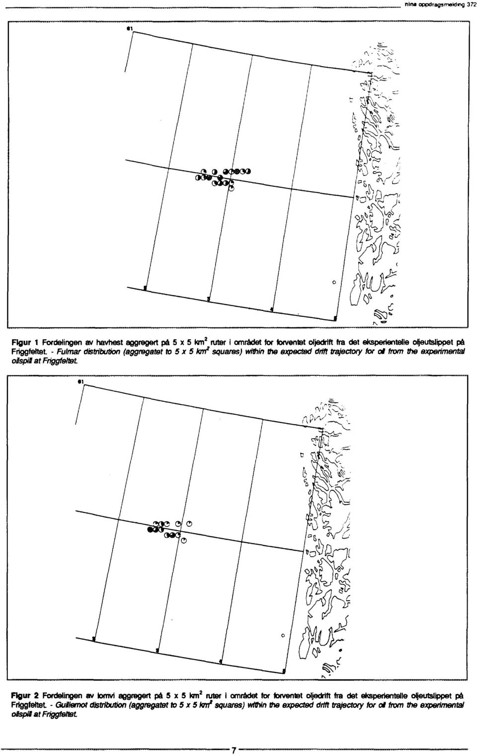 experimental osspil at Friggfeltet Rgur 2 Fordelingen av lomvi aggrogert på 5 x 5 km 2 ruter i området for forventet oljedrtft fra det eksperientøte