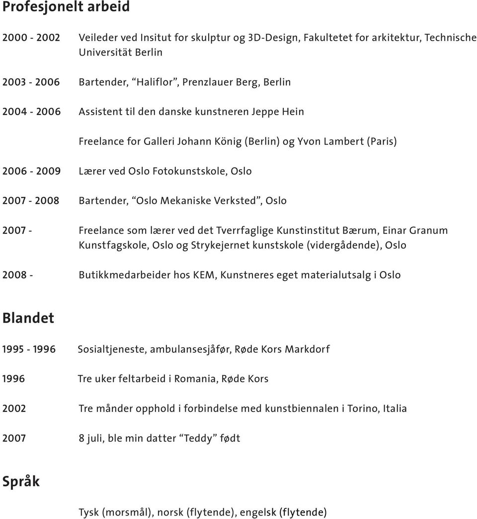 Verksted, Oslo 2007 - Freelance som lærer ved det Tverrfaglige Kunstinstitut Bærum, Einar Granum Kunstfagskole, Oslo og Strykejernet kunstskole (vidergådende), Oslo 2008 - Butikkmedarbeider hos KEM,