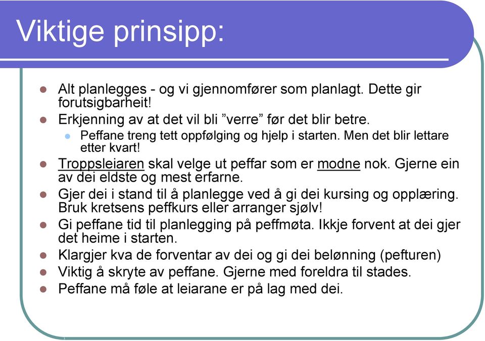 Gjerne ein av dei eldste og mest erfarne. Gjer dei i stand til å planlegge ved å gi dei kursing og opplæring. Bruk kretsens peffkurs eller arranger sjølv!