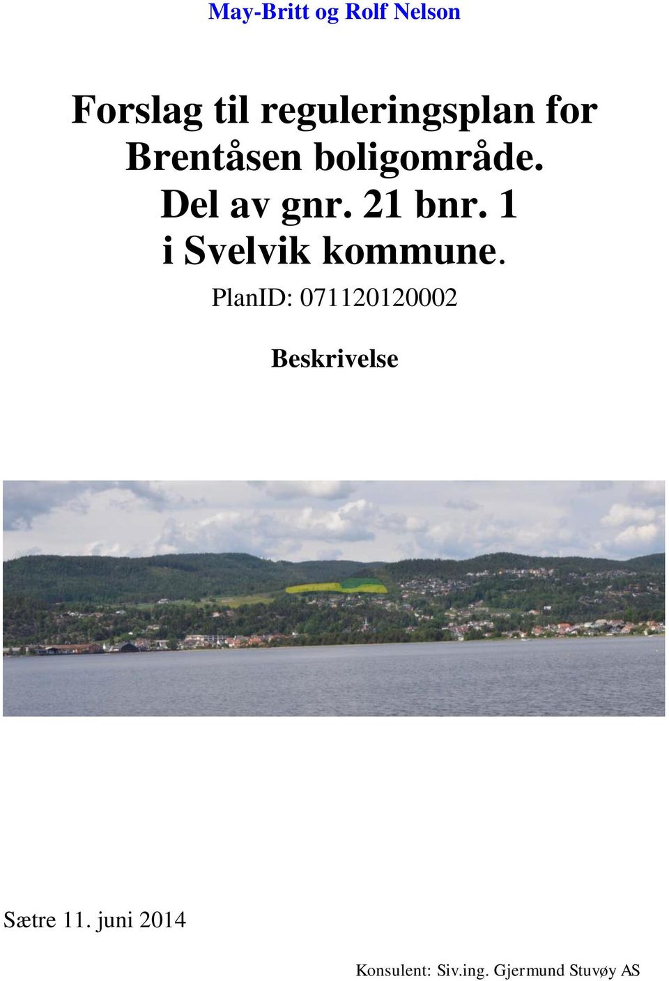 1 i Svelvik kommune.