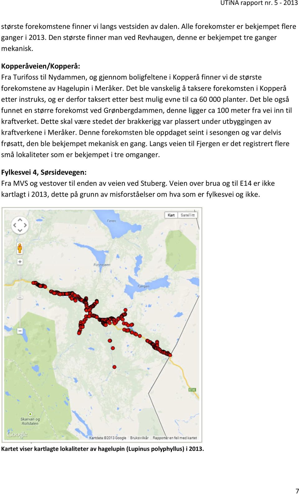 Det ble vanskelig å taksere forekomsten i Kopperå etter instruks, og er derfor taksert etter best mulig evne til ca 60 000 planter.