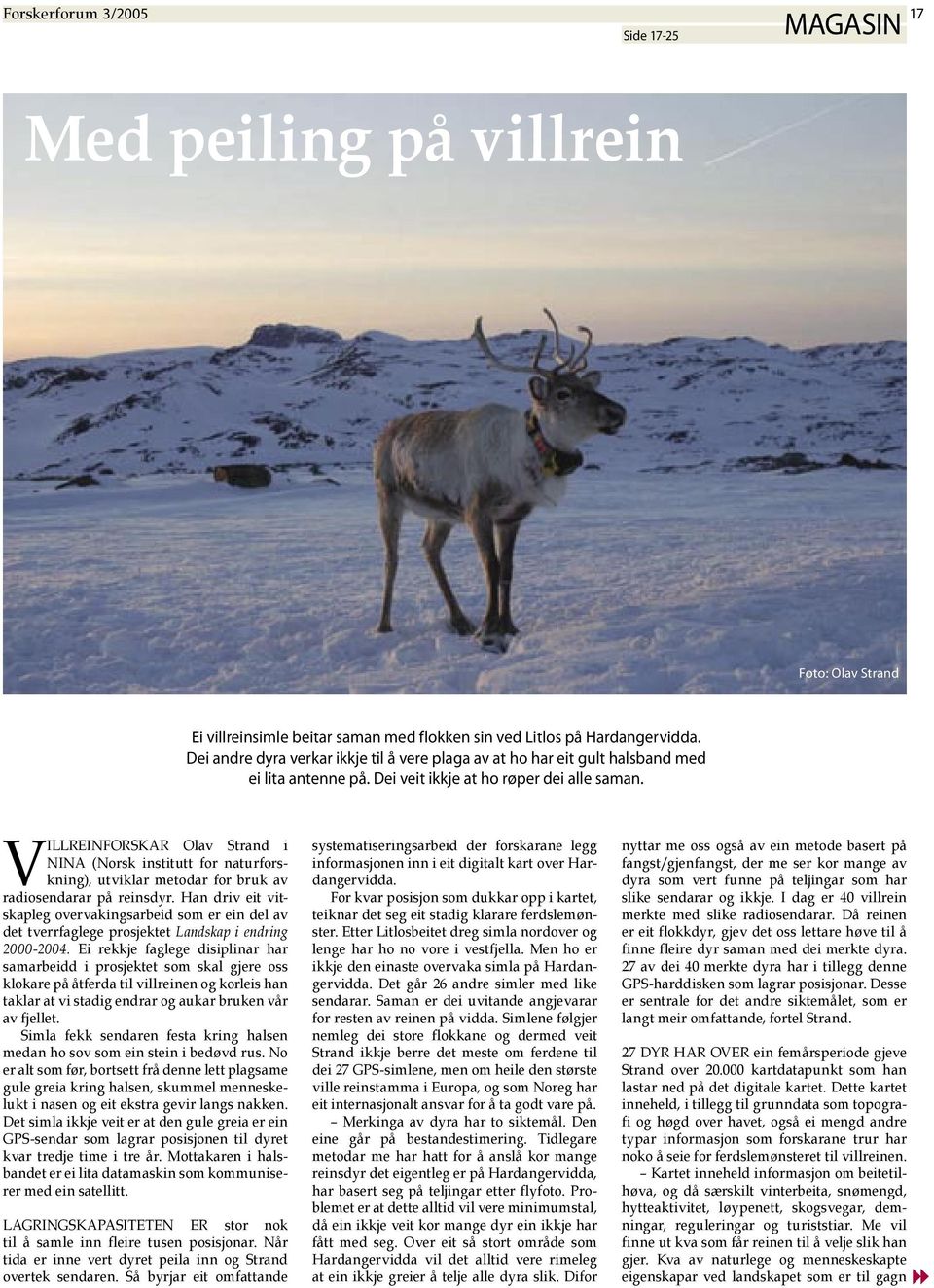 VILLREINFORSKAR Olav Strand i NINA (Norsk institutt for naturforskning), utviklar metodar for bruk av radiosendarar på reinsdyr.