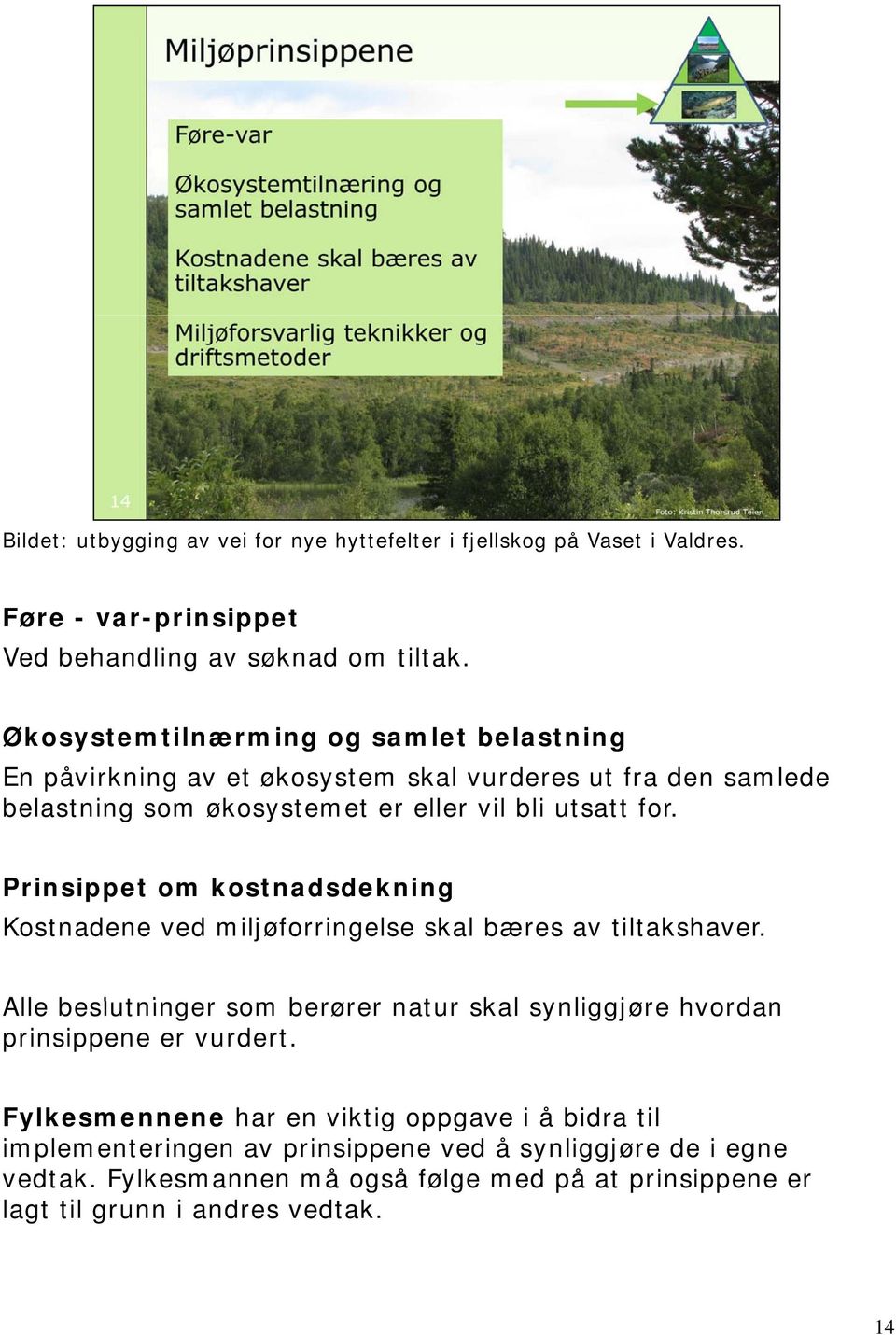 Prinsippet om kostnadsdekning Kostnadene ved miljøforringelse skal bæres av tiltakshaver.