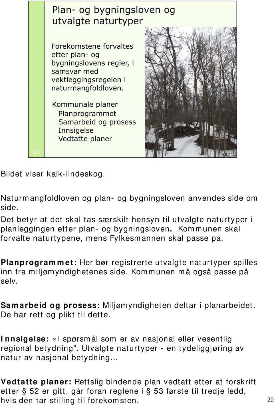 Planprogrammet: Her bør registrerte utvalgte naturtyper spilles inn fra miljømyndighetenes side. Kommunen må også passe på selv. Samarbeid og prosess: Miljømyndigheten deltar i planarbeidet.