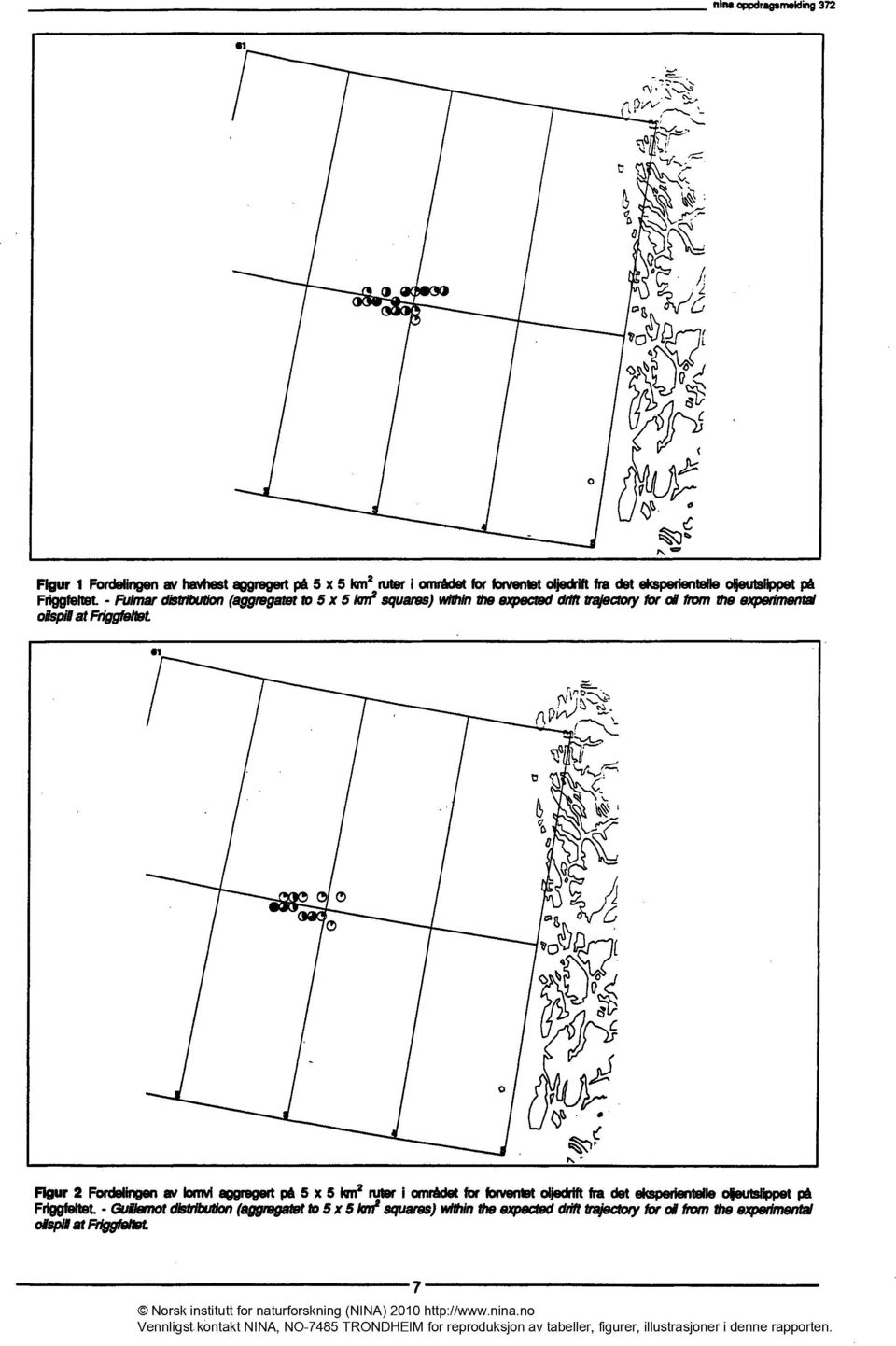 - Fulmardistribution (aggregatet to5 x 5 lon2squares)iwthintheexpecte ddfttrajectoryforollfromtheexpedmental olspilatfriggfeltet SI Figur 2