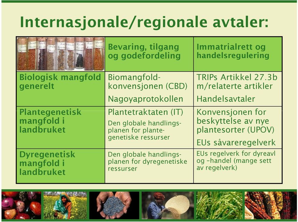 3b m/relaterte artikler Handelsavtaler Plantegenetisk Plantetraktaten (IT) Konvensjonen for mangfold i beskyttelse av nye landbruket plantesorter