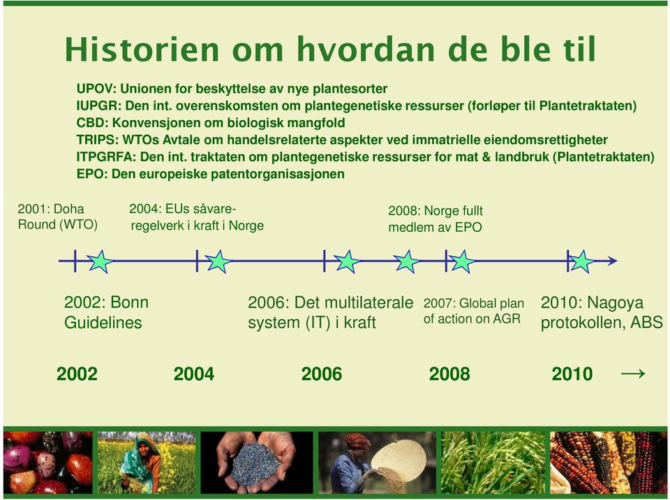 immatrielle eiendomsrettigheter ITPGRFA: Den int.