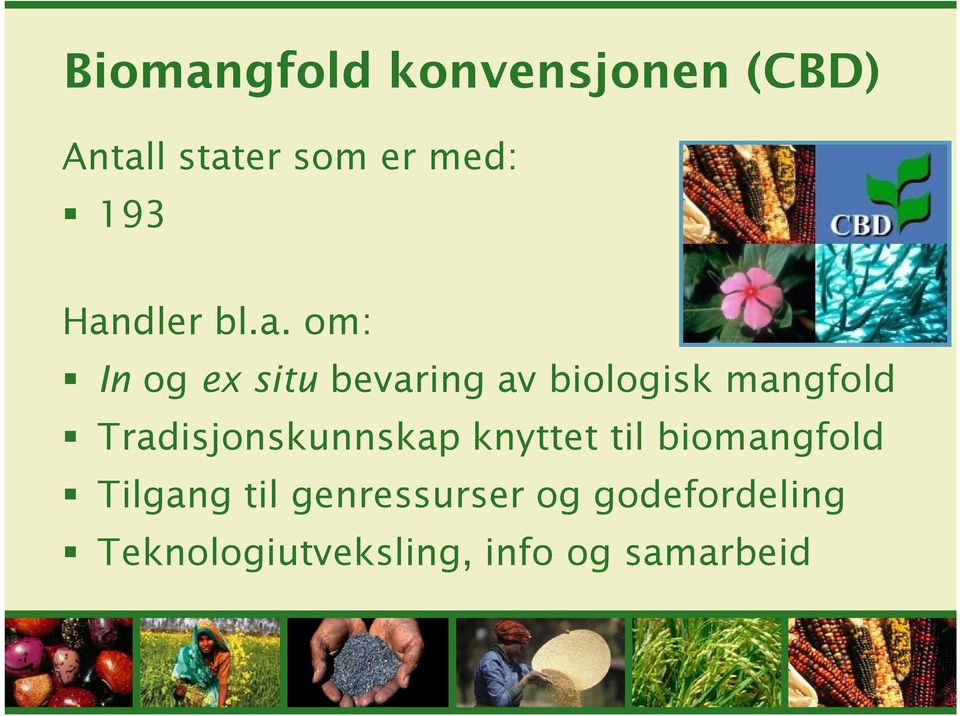 mangfold Tradisjonskunnskap knyttet til biomangfold Tilgang