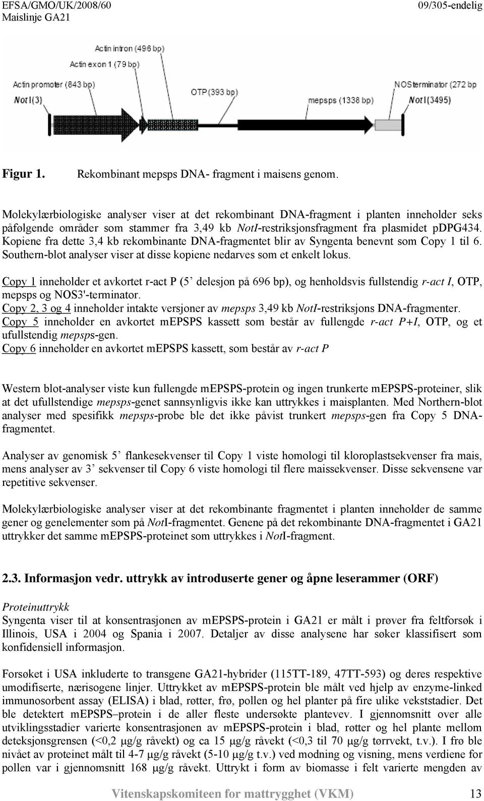 Kopiene fra dette 3,4 kb rekombinante DNA-fragmentet blir av Syngenta benevnt som Copy 1 til 6. Southern-blot analyser viser at disse kopiene nedarves som et enkelt lokus.