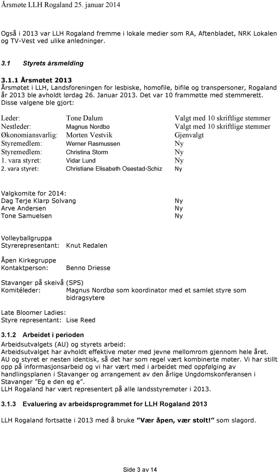 Disse valgene ble gjort: Leder: Tone Dalum Valgt med 10 skriftlige stemmer Nestleder: Magnus Nordbø Valgt med 10 skriftlige stemmer Økonomiansvarlig: Morten Vestvik Gjenvalgt Styremedlem: Werner