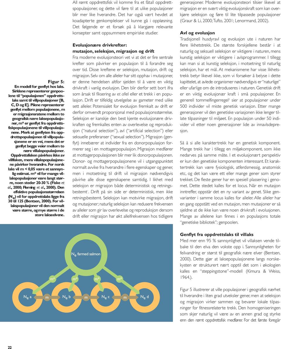 Merk at genflyten fra oppdrettspopulasjonen til villpopulasjonene er en vei, mens det er genflyt begge veier mellom to nære villakspopulasjoner.