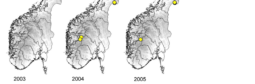 Figur 7. Kjente fjellrevhi der fjellrevaktivitet er påvist gjennom DNA-analyse av ekskrementer funnet i 2003 (7 ulike hi), 2004 (minimum 22 ulike hi + Finse) og 2005 (.minimum 16 ulike hi + Nordkinn).