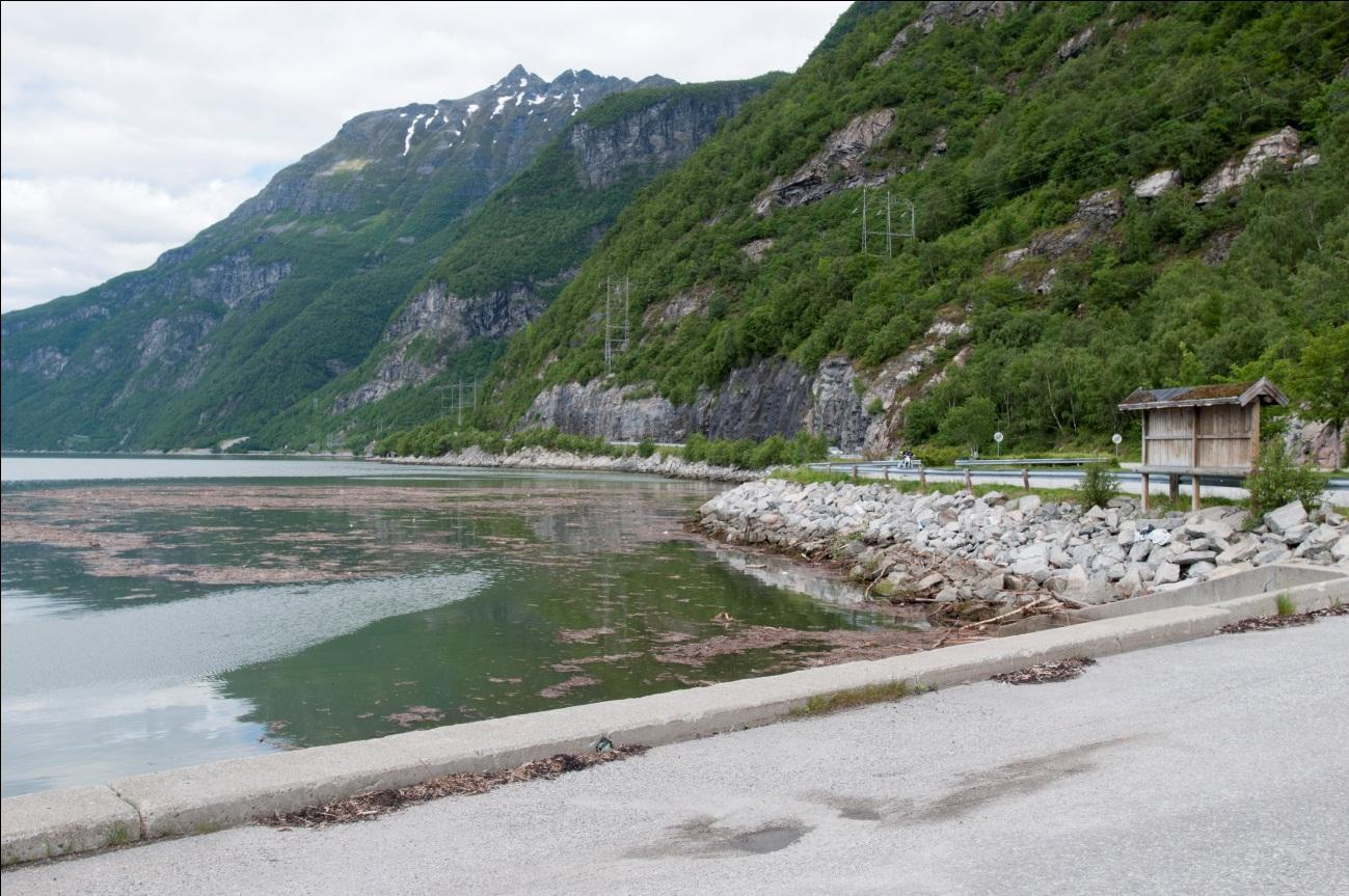 Figur 6: Kirkegården i Sunndalsøra. Foto: Einar Berg.