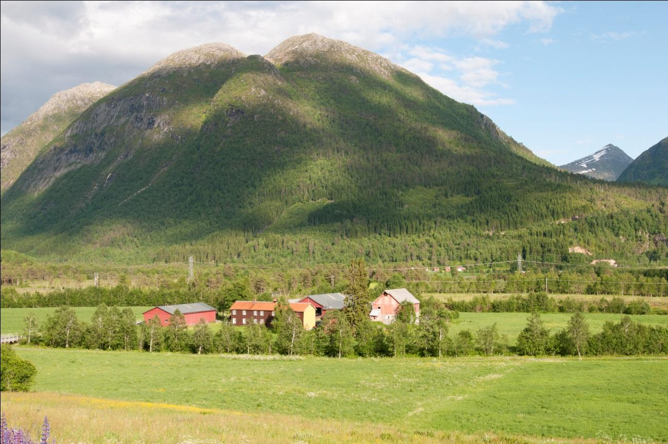 Figur 8: Idrettsplassen i Todalsøra. Foto: Einar Berg.