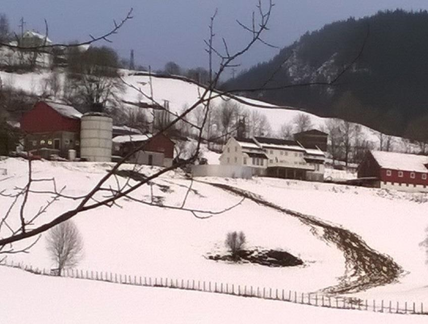 Synfaring og oppfølging Etter telefon / klage / brev / avisinnlegg: 1. Synfaring med kartlegging: Kva har skjedd, kva er slept ut, volum, kor går utslepp, skade 2.