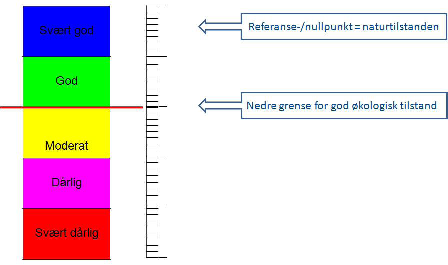 Med vannforskriften gis en tydelig definisjon på hva som menes når en sier god miljøtilstand. Det tas tar utgangspunkt i en femdelt skala: Figur 76: De fem tilstandsklassene etter vannforskriften.